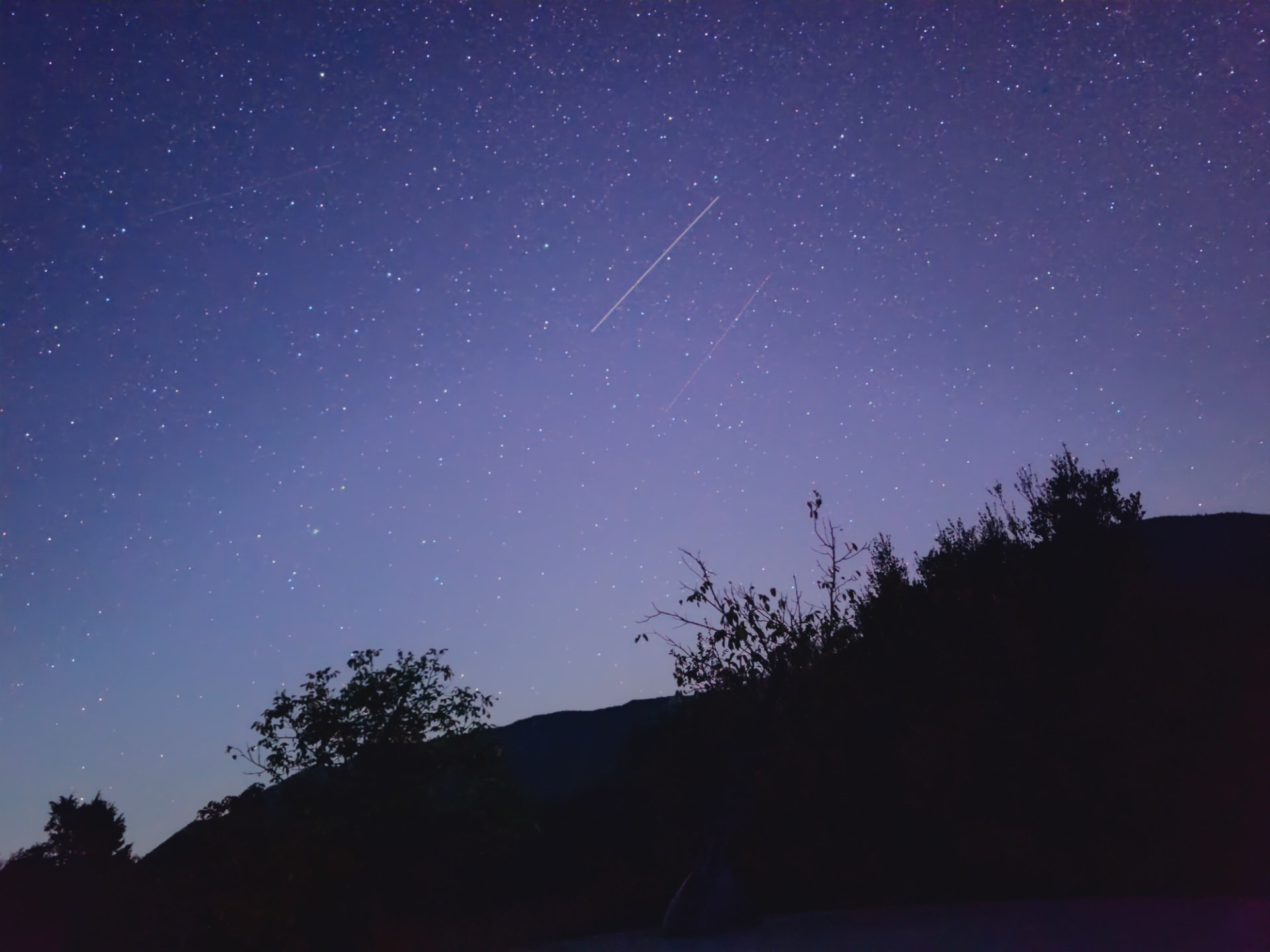 Stars and several fine diagonal streaks of light in a blue night sky above silhouetted trees and a hillside.